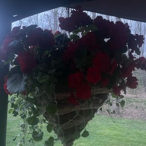 Meet your Posher, Rhonda